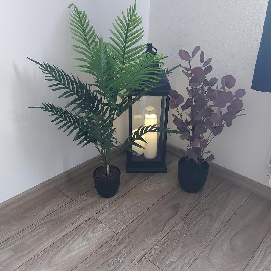 Apartament Antonias Fagaras Ngoại thất bức ảnh